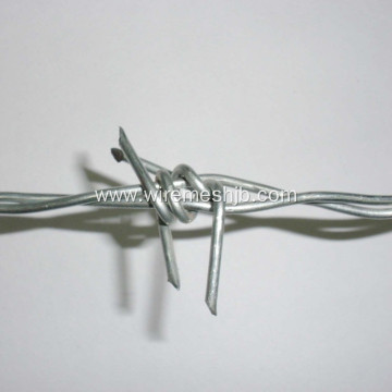 Hot Dipped Galvanized Barbed Wire Fence